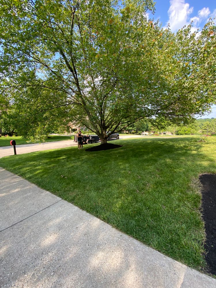 All Photos for Castle JR Landscaping & Painting LLC in Cincinnati, OH