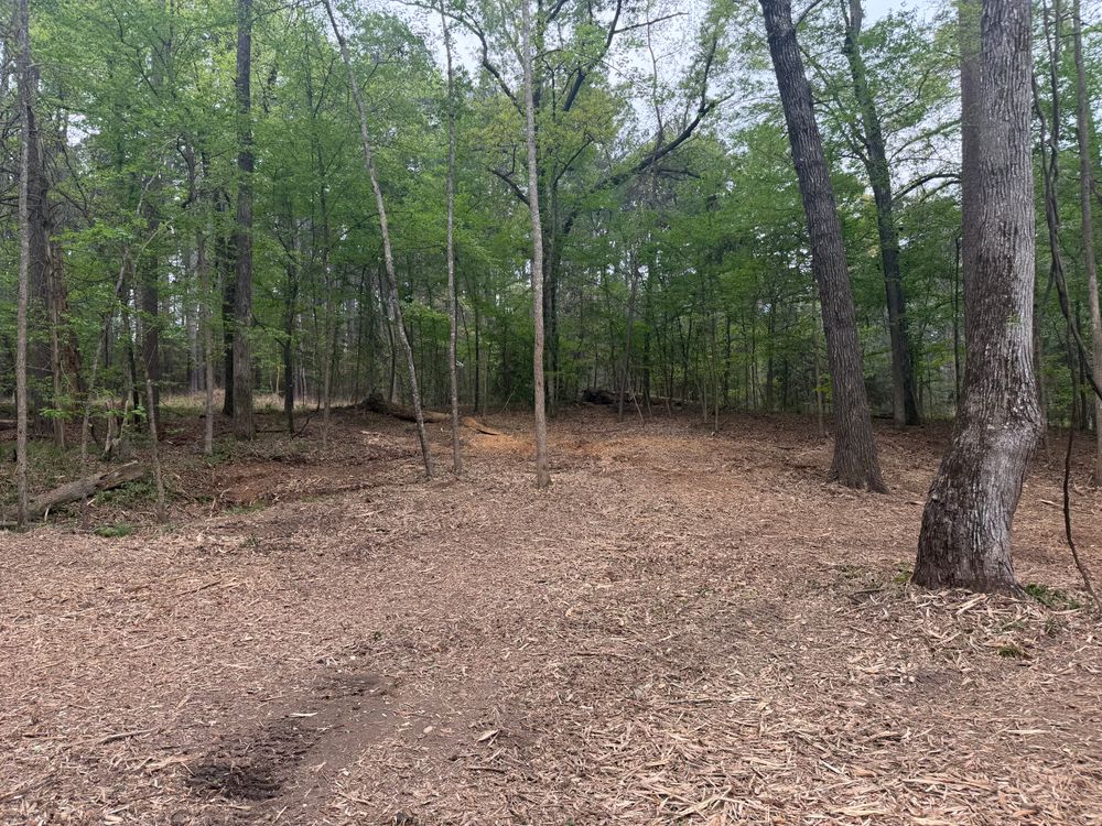 All Photos for 903 Mulching in East Mountain, TX
