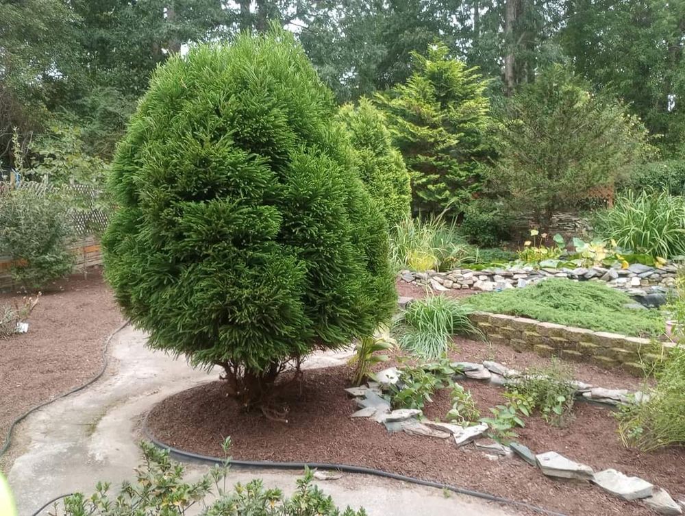 Landscaping for Handy Al's Landscaping LLC in Greenville, NC