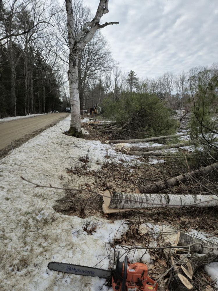 All Photos for Abair Tree Service in Weare, NH