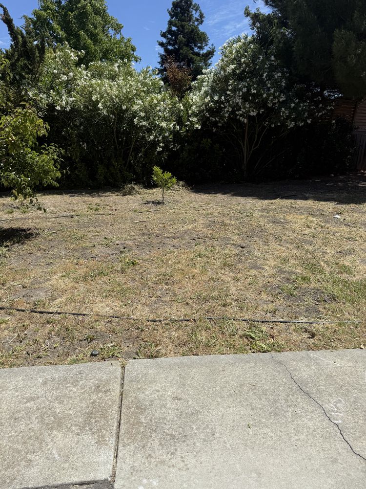 All Photos for CBA Landscaping in Hayward, CA