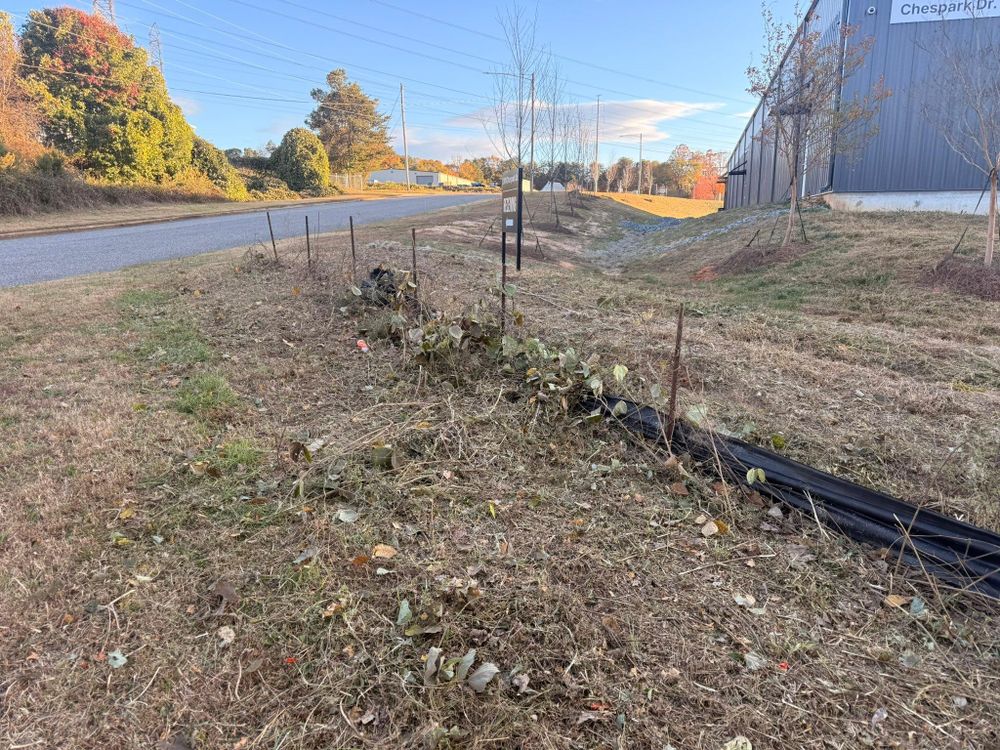 Seasonal Contracts for America's Top Pick Lawn & Landscaping in Gastonia, NC