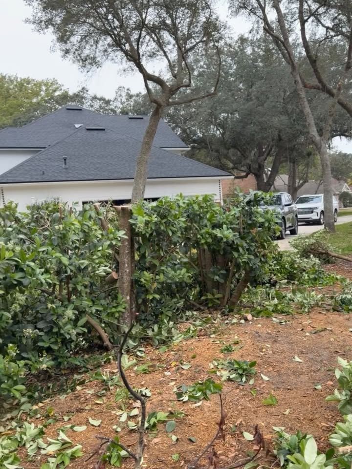 All Photos for Whole 9 Yards Services LLC in Green Cove Springs, FL