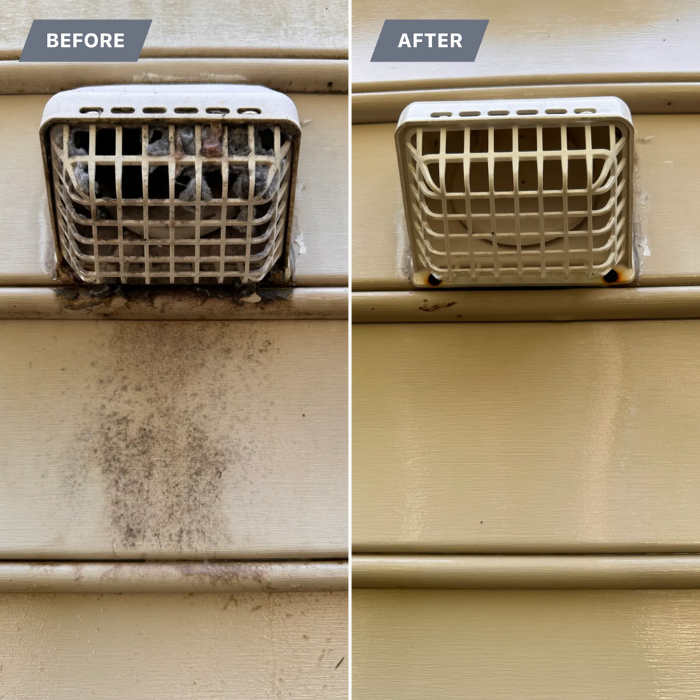 All Photos for LeafTide Solutions in Richmond, VA