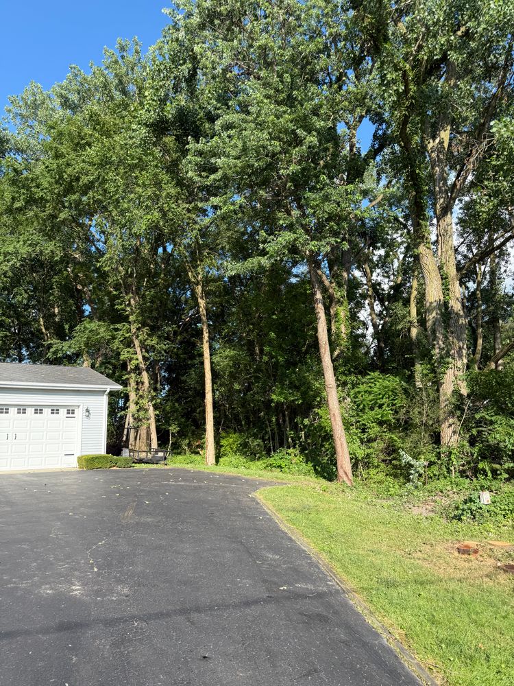 All Photos for Hunnicutt’s Tree Service L.L.C. in Monticello, IN