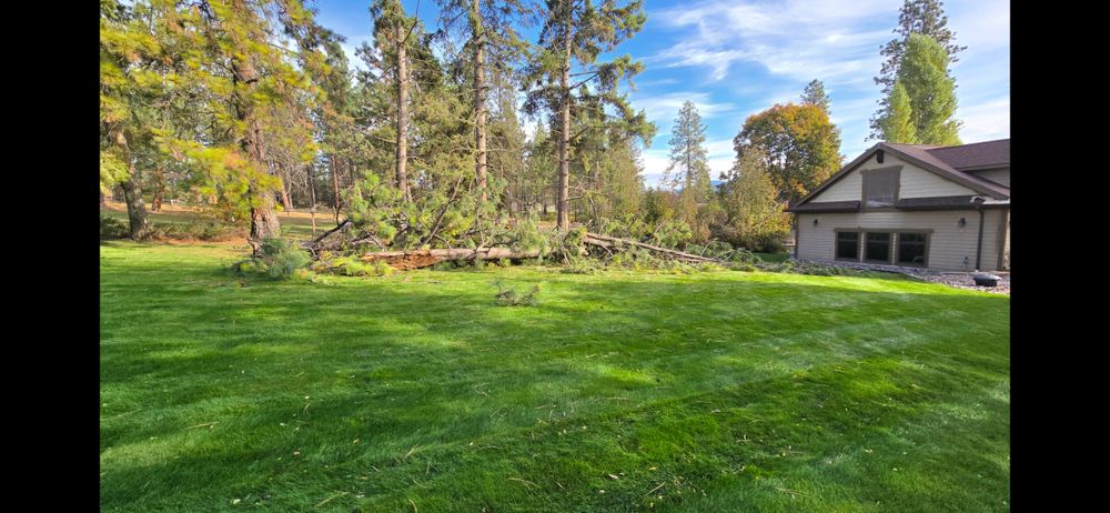 All Photos for Blue Ridge Landscape in Polson, MT