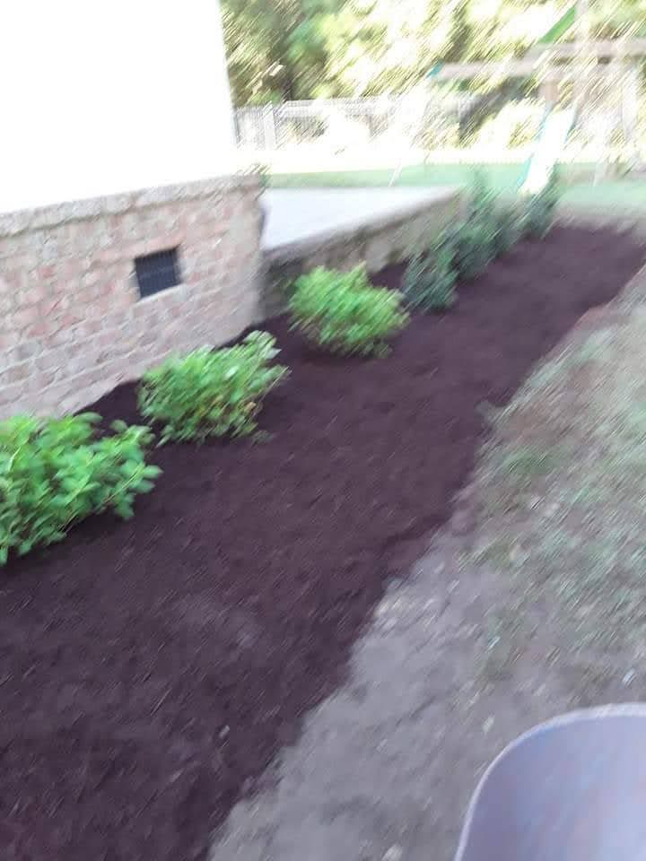 All Photos for Handy Al's Landscaping LLC in Greenville, NC