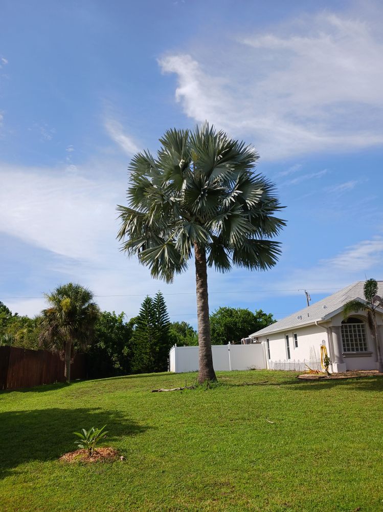 Tree Services for Unity Maintenance & More LLC in Englewood, FL