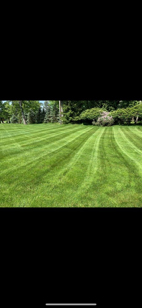 Lawn Care for Trueman Landscaping in Wexford, PA