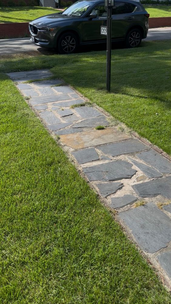 All Photos for LeafTide Solutions in Richmond, VA