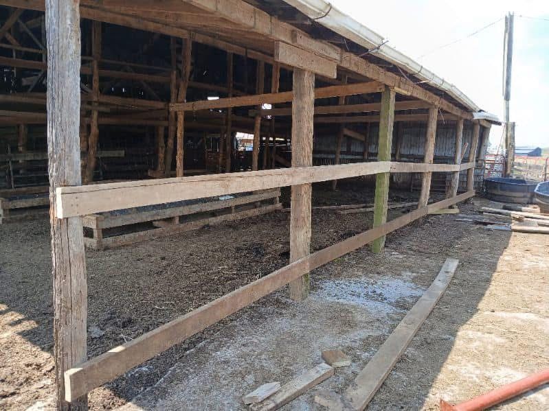 All Photos for Backyard Makeovers in  Lancaster, KY