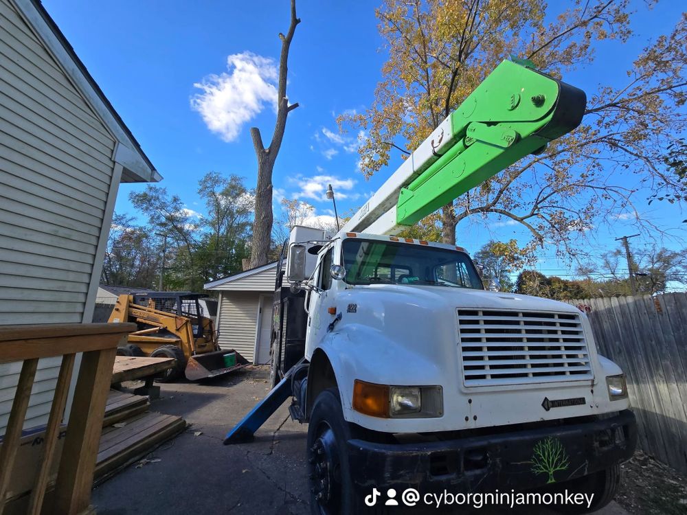All Photos for D Hale Tree Service in Ann Arbor, MI