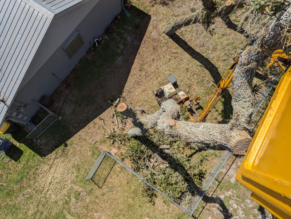 All Photos for Regal Tree Service and Stump Grinding in Wauchula, FL