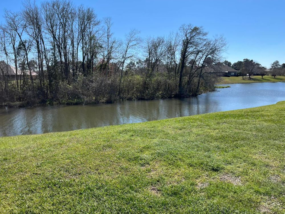 All Photos for Dirty South Land Management  in Robertsdale, AL