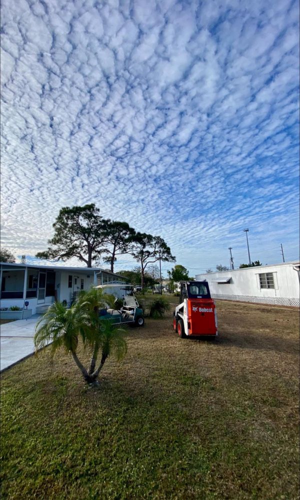 All Photos for MX Trees in Englewood, FL