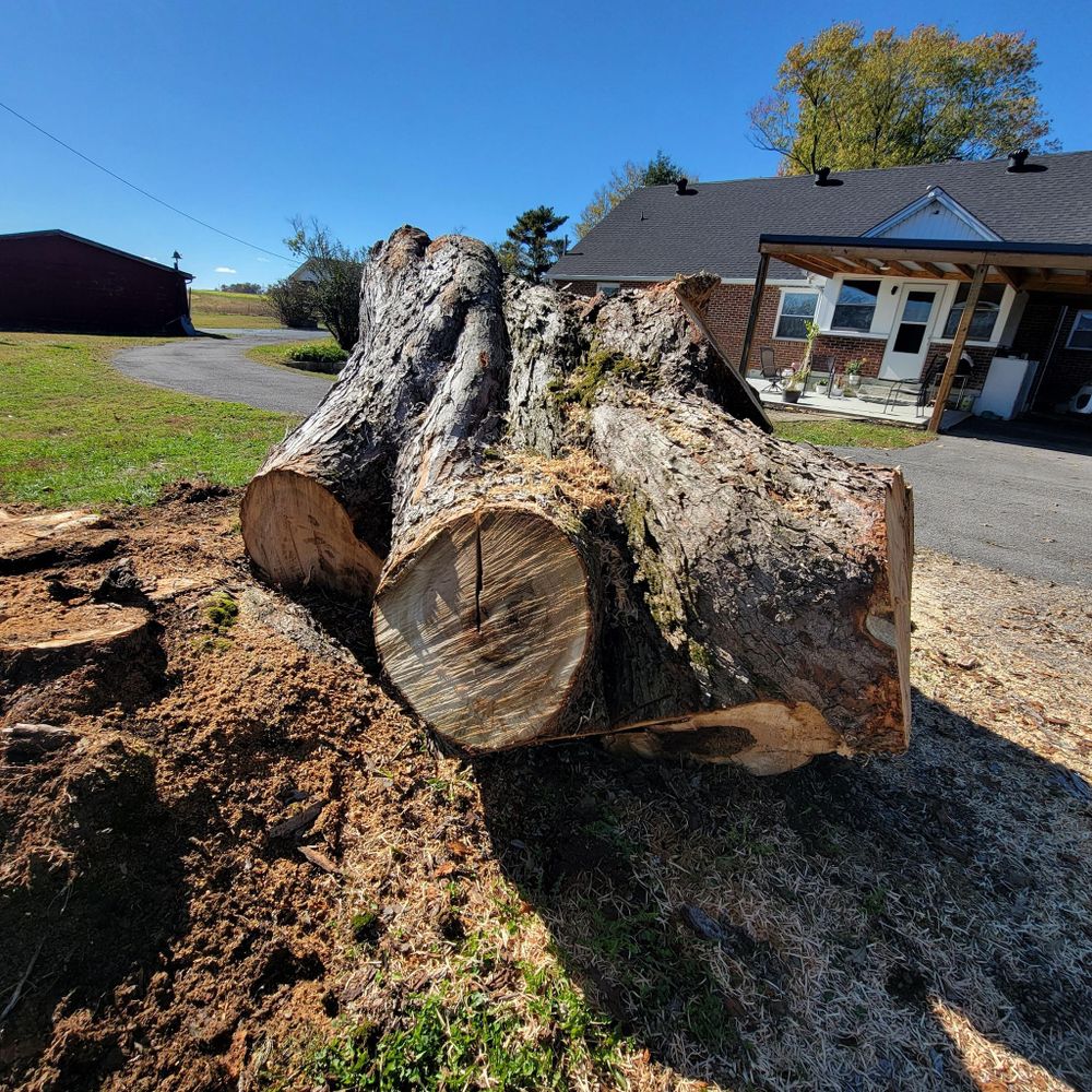 All Photos for Z's Land Management & Forestry Mulching in Smithville, TN