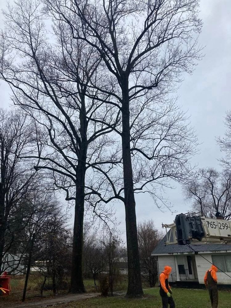 Enhance your property's safety and beauty with our professional Tree Trimming service, expertly shaping and maintaining healthy trees while removing hazardous branches for a thriving landscape year-round. for Advanced Tree Solutions in Rockville, IN