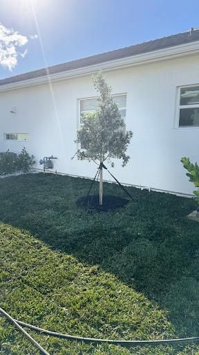 All Photos for South Florida Terra Systems in Boca Raton, FL