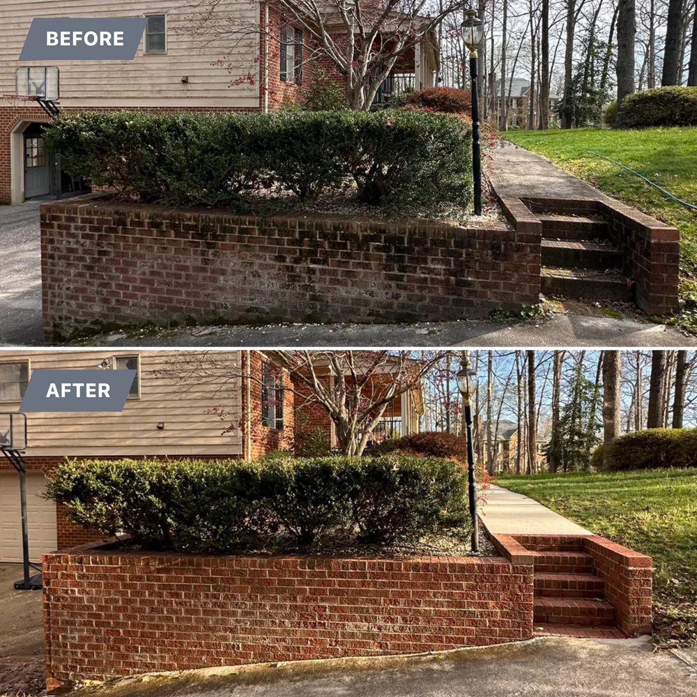 All Photos for LeafTide Solutions in Richmond, VA