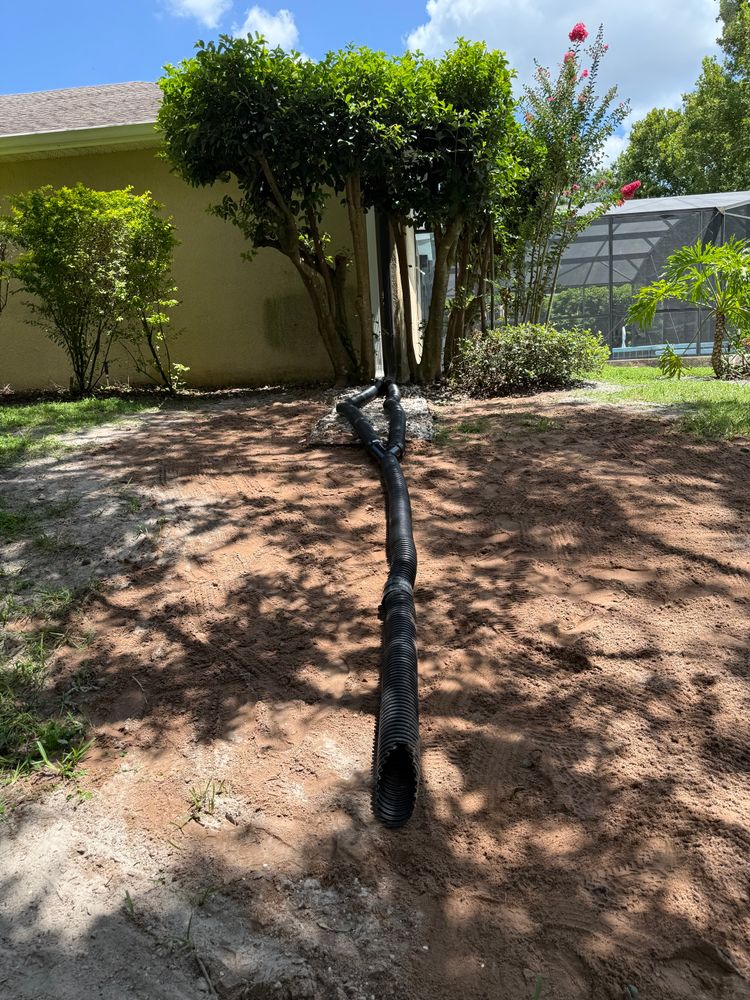 All Photos for Amerigrown Tree And Lawn in Apopka, FL