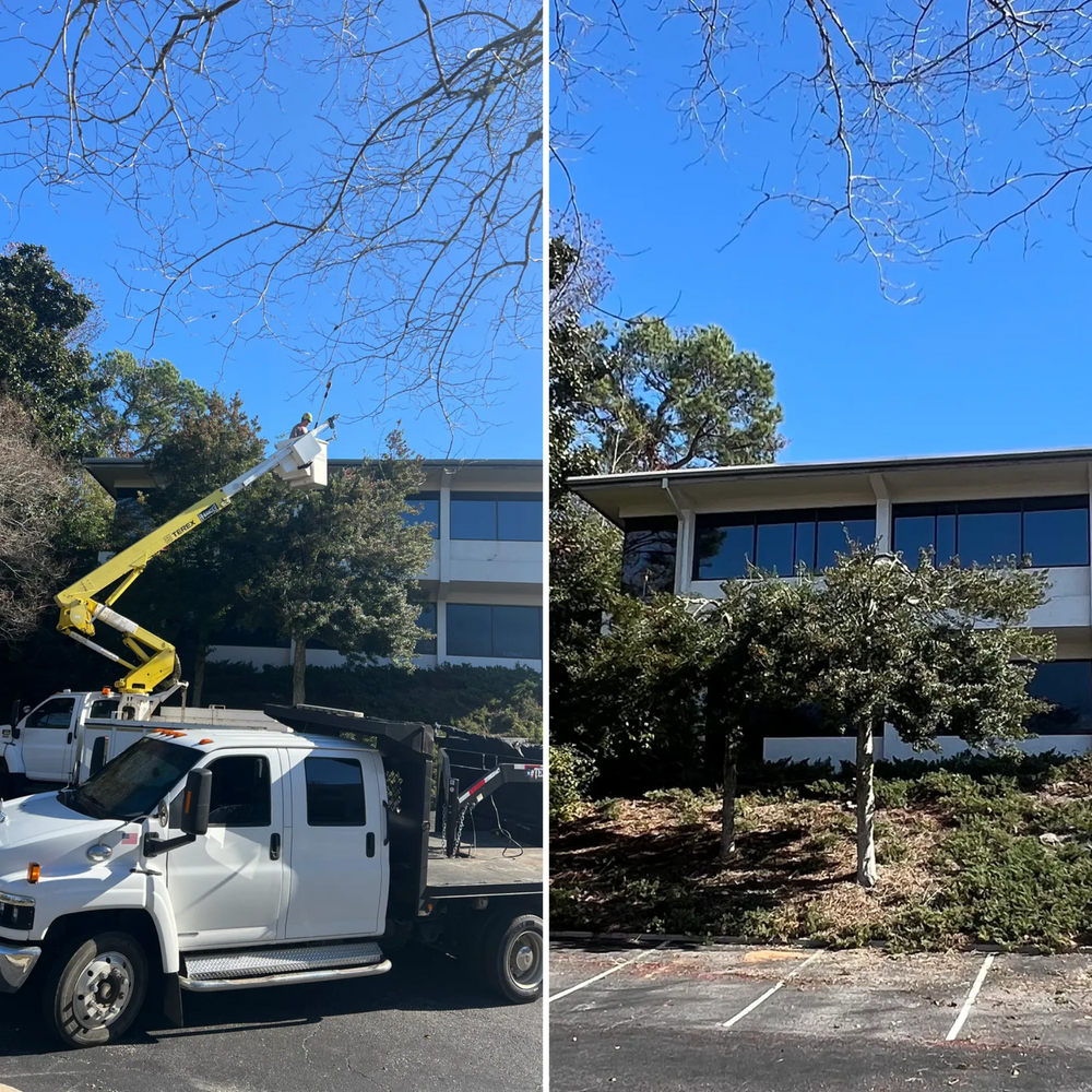 All Photos for Southern Venom Services in Daphne, AL