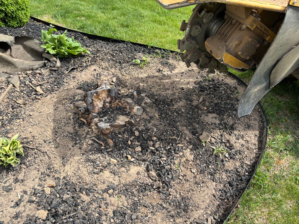 All Photos for Conrad's Stump Removal in Columbus, IN