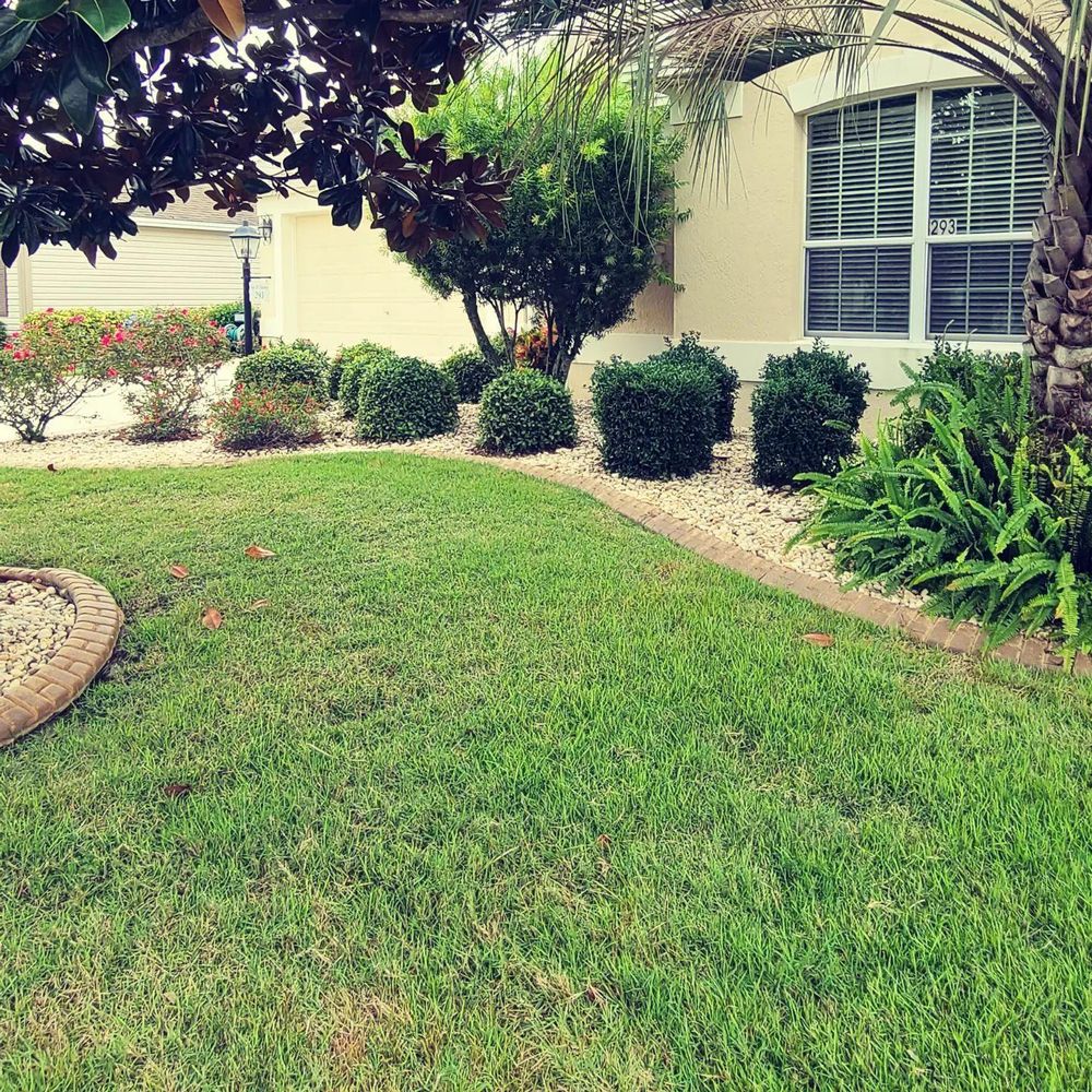 All Photos for TopNotch Landscaping Services  in The Villages, FL