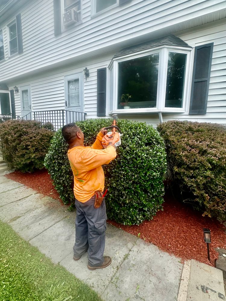 All Photos for Zaldivar’s Lawn Care INC  in Peekskill, NY