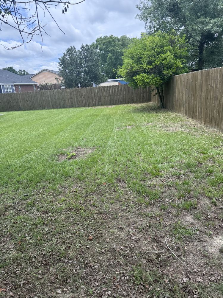 All Photos for Trinity Landscapes  in Lumberton, NC