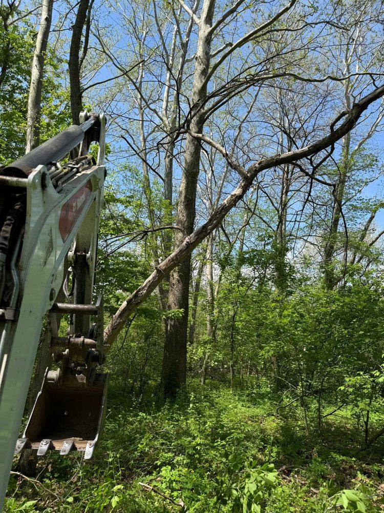 All Photos for Sterlings Tree Removal in Cobleskill, New York