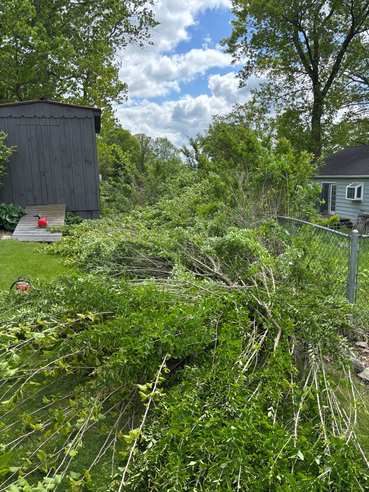 All Photos for Bryant Property Solutions in Altoona, PA