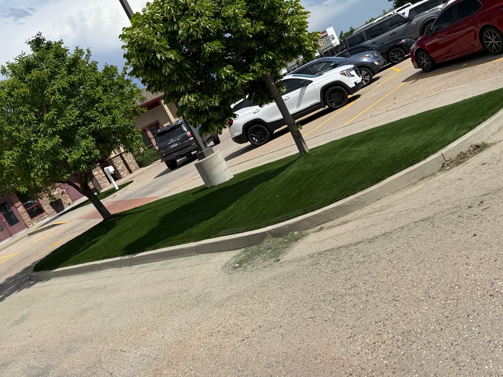 All Photos for Forever Green Turf Pros in Greeley, CO