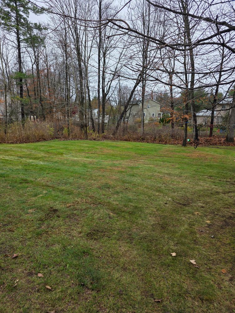 All Photos for Sweet Scapes in Ballston Spa, NY