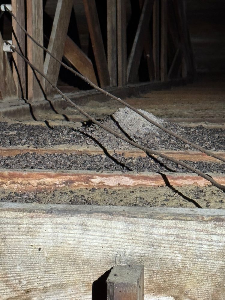 Crawlspace/Attic Renovation  for All-In Pest Control & Home Solutions in Greene County, IN