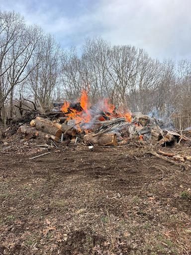 All Photos for TD Dirtworks in Tracy City, TN