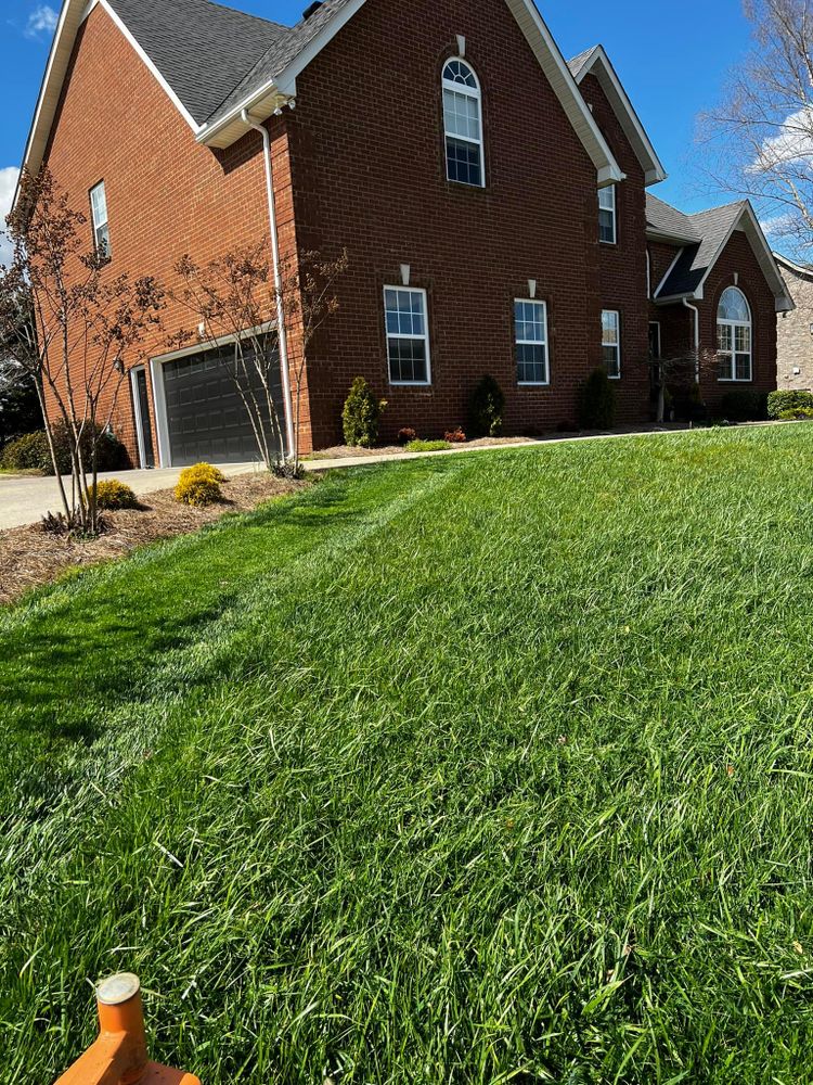 Lawn Care for Team Bard Lawn Care SVC in Woodbury, TN