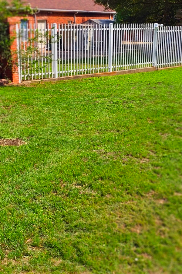 All Photos for Miller Mowing and Maintenance in San Antonio, TX