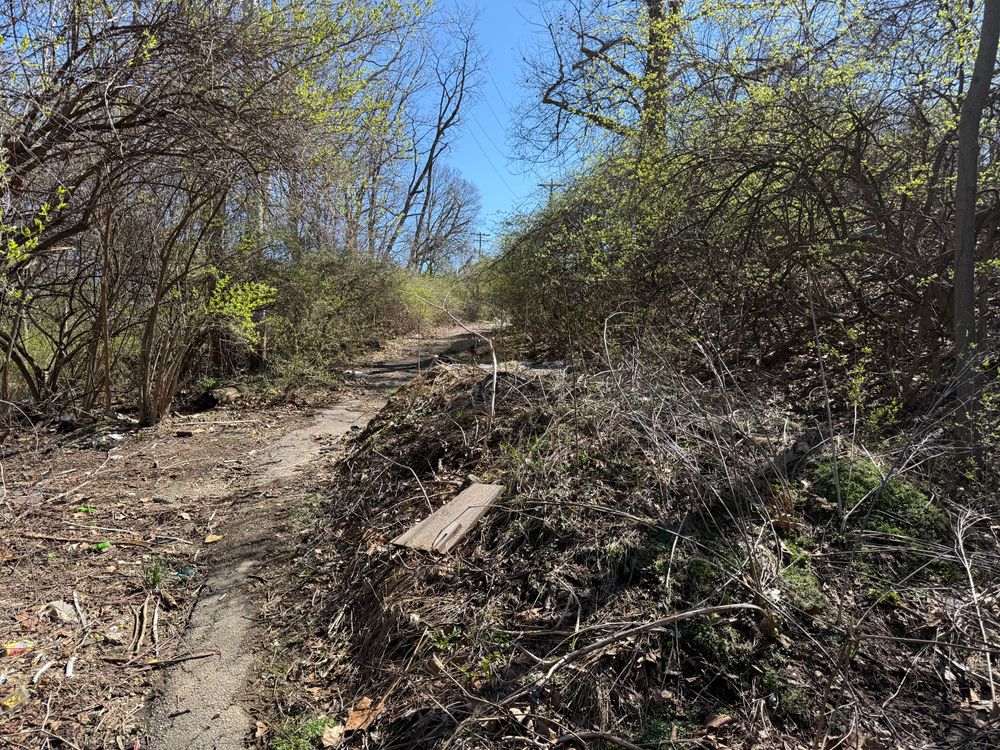 All Photos for A1 Bush Hogging & Lawn Service in London, OH