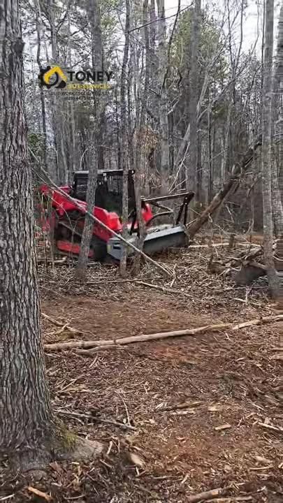 All Photos for Toney Site Services LLC in Rutherford County, NC