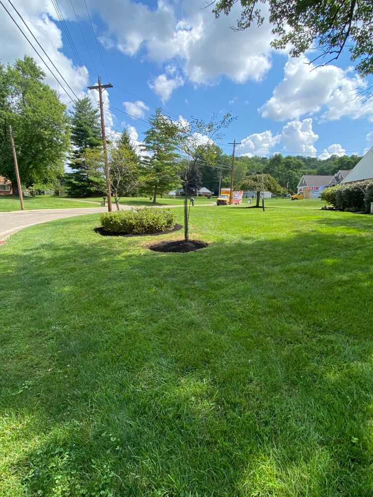 Lawn Mowing for Castle JR Landscaping & Painting LLC in Cincinnati, OH