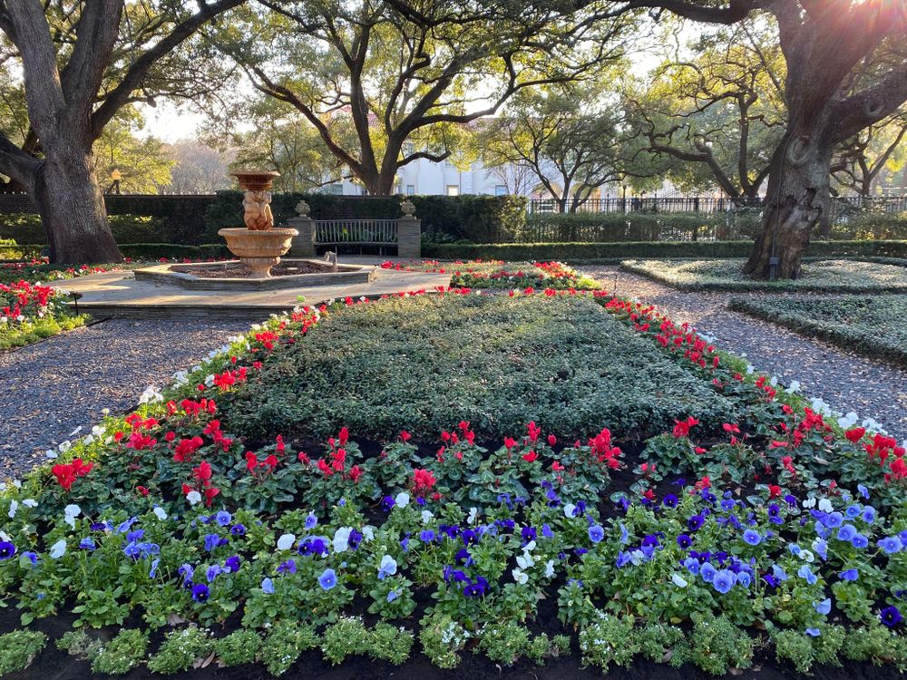 All Photos for Robert’s Lawn & Tree Service in Austin, TX