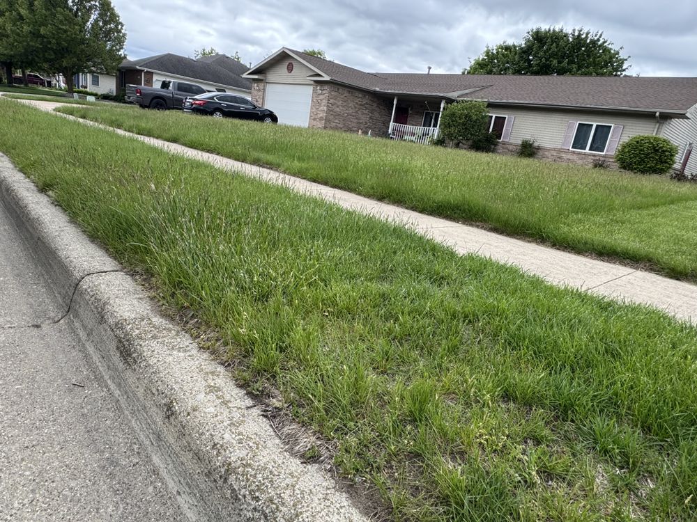 Landscaping Lawn Care for Daugherty's Tough Lawn Care in Essexville, MI