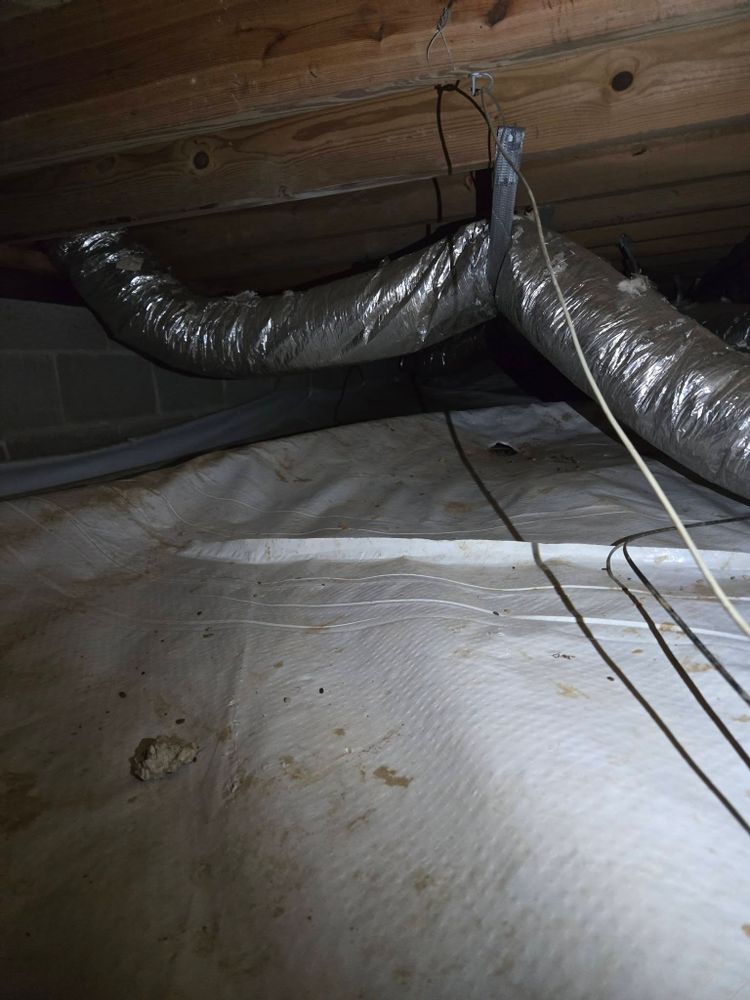 Pest Control for Bug Blasterz LLC in Huntsville, AL