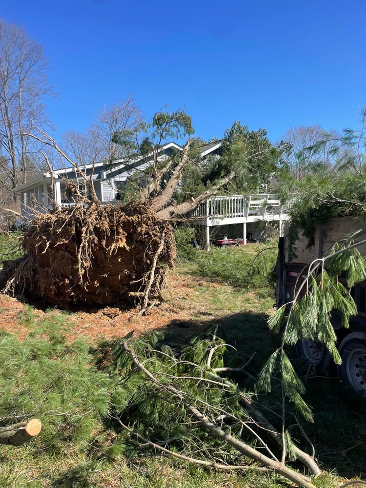 All Photos for JDI Customs in Nashville, TN