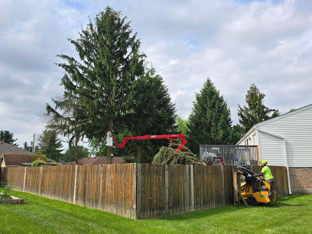 All Photos for F & F Tree Service in Beavercreek, OH