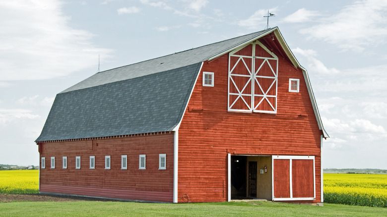 Enhance your property with our barn construction service, offering durable and customizable barns to suit your needs. Expert craftsmanship ensures a sturdy structure that seamlessly complements our quality fencing solutions. for M&N Fencing in Northeast Colorado, CO