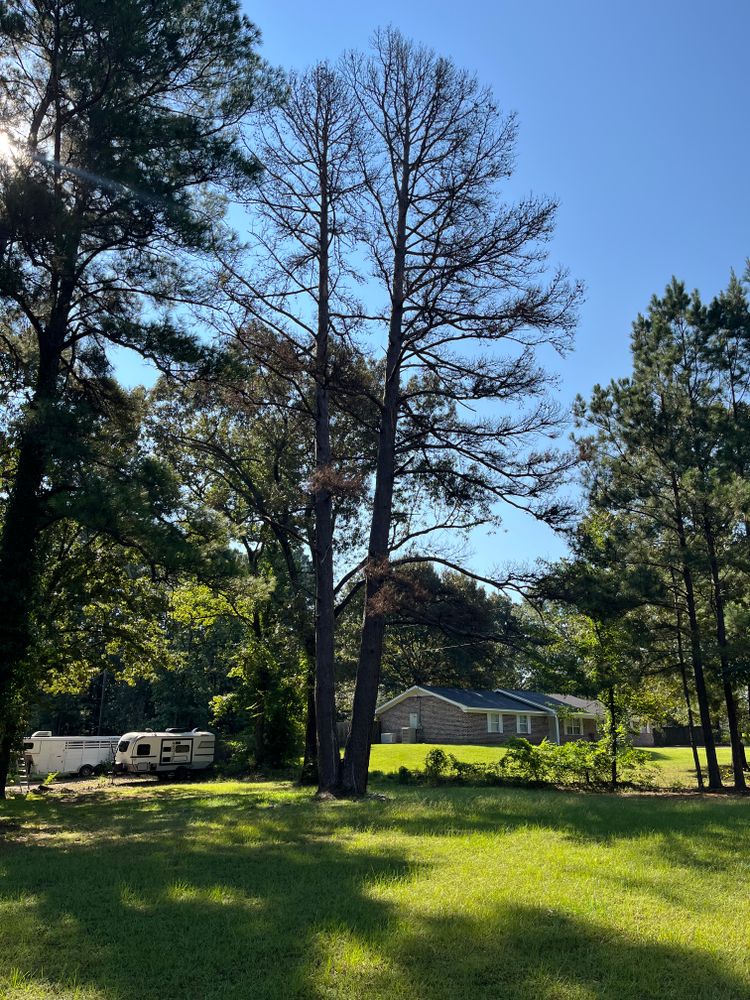All Photos for JC Land and Tree Service in Kilgore, TX