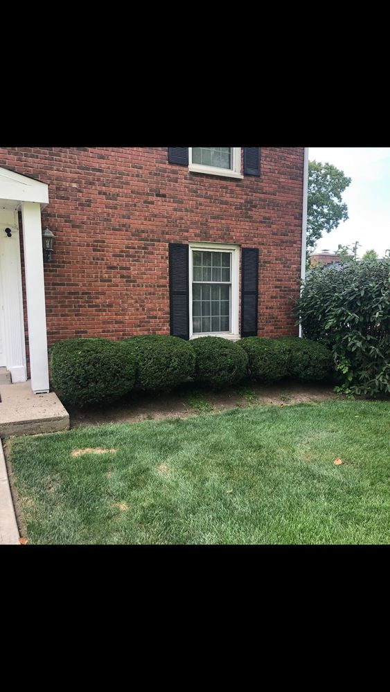 Landscaping for Robbie's Lawn Care, LLC in Middletown, OH