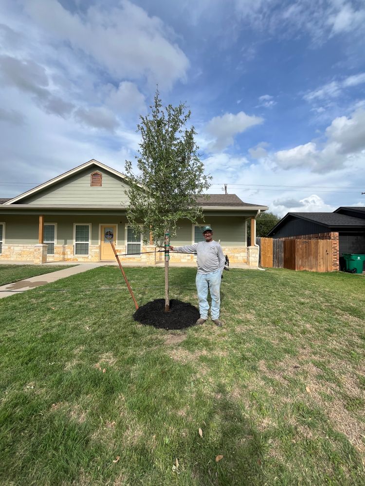 All Photos for Piña’s Lawncare in Limestone County, TX