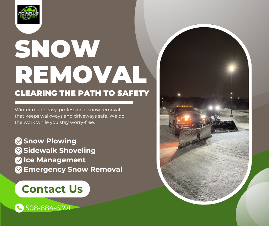 All Photos for Powell Tree Service Inc. in Cape Cod, MA